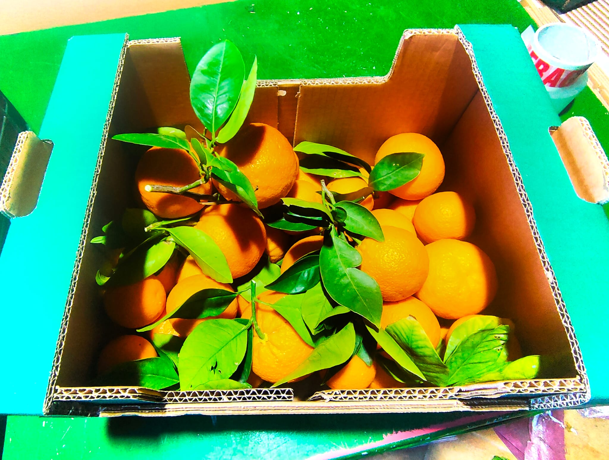 cassa di arance sanguinello fresche appena raccolte