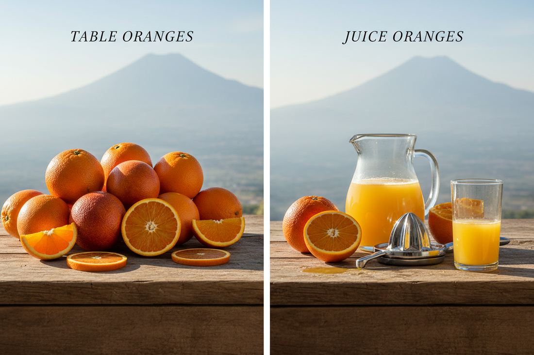 Arance online: confronto tra arance da tavola e arance da spremuta siciliane fresche dall'Etna per acquisto online