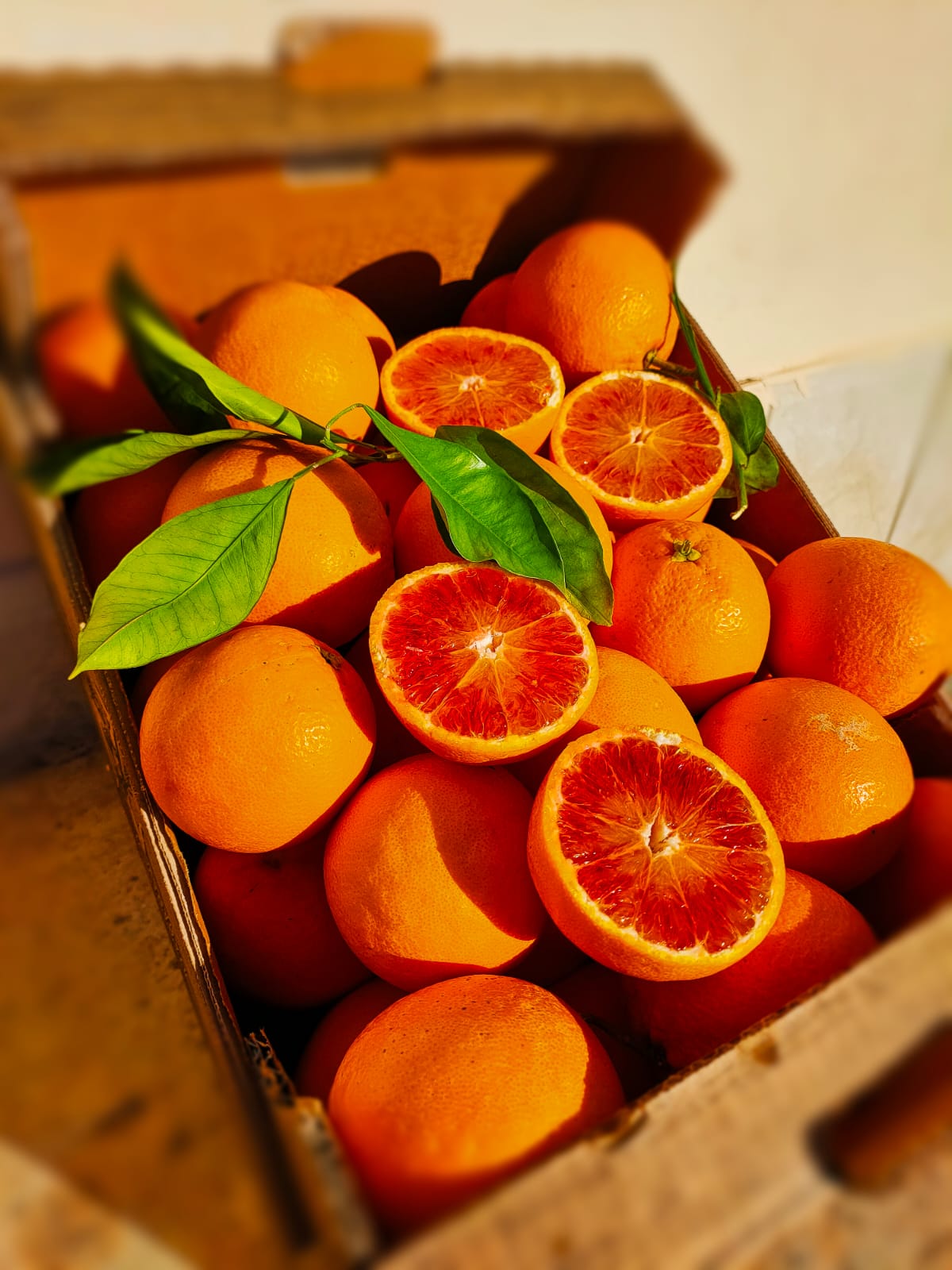 Arance Tarocco Spremuta Online Sicilia