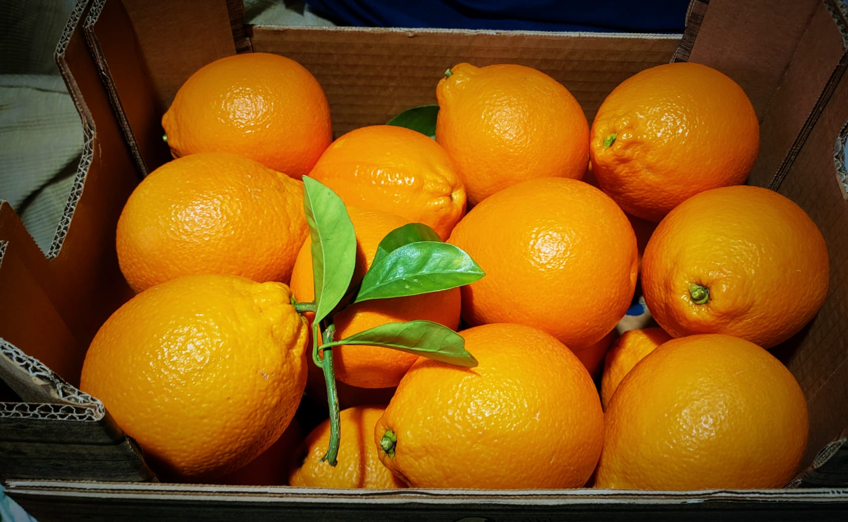 arance tarocco online da tavola sicilia