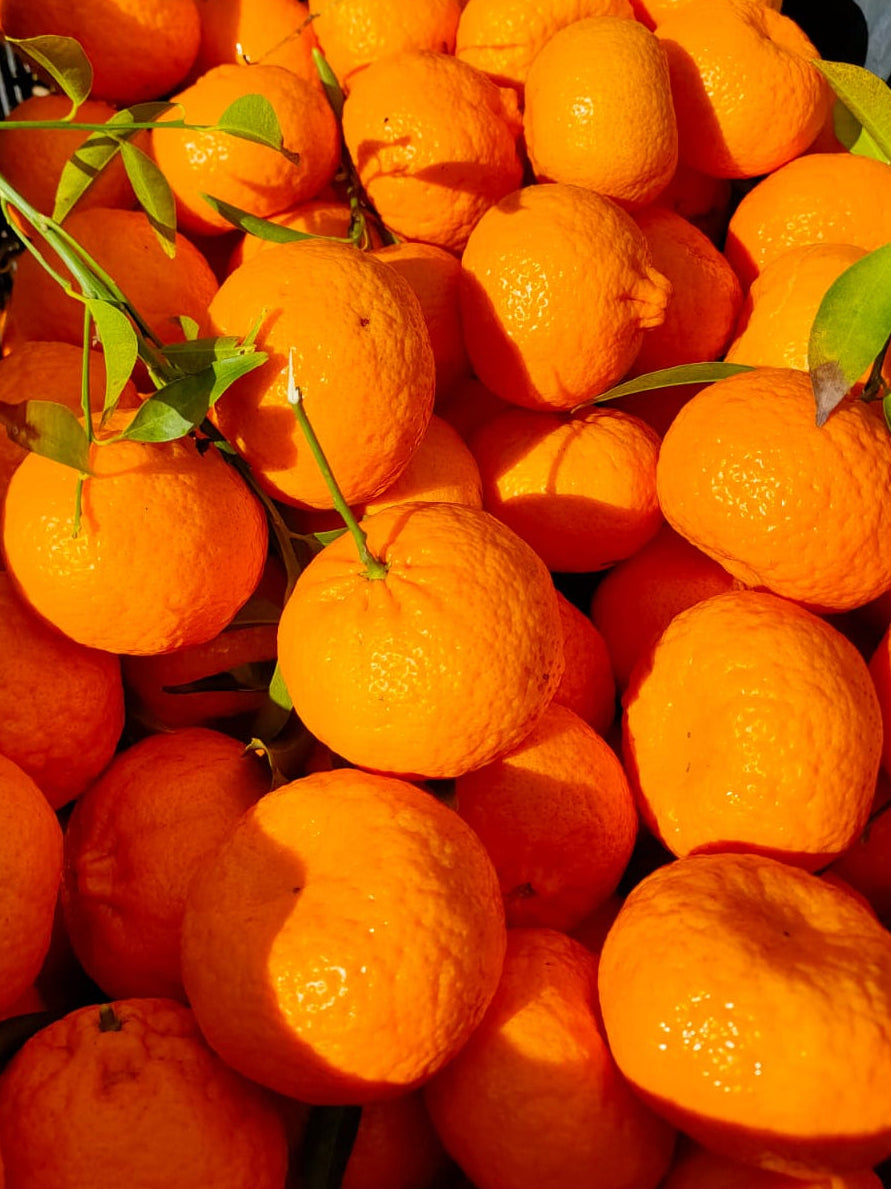 Mandarini Siciliani Online 9kg: Autentici Dolci dall'Etna | AranciaZip