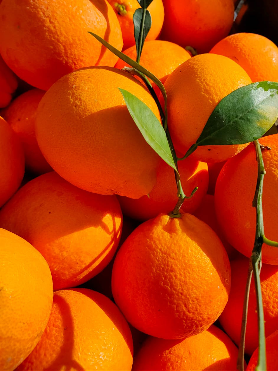 Arance Tarocco Extra Online 7kg