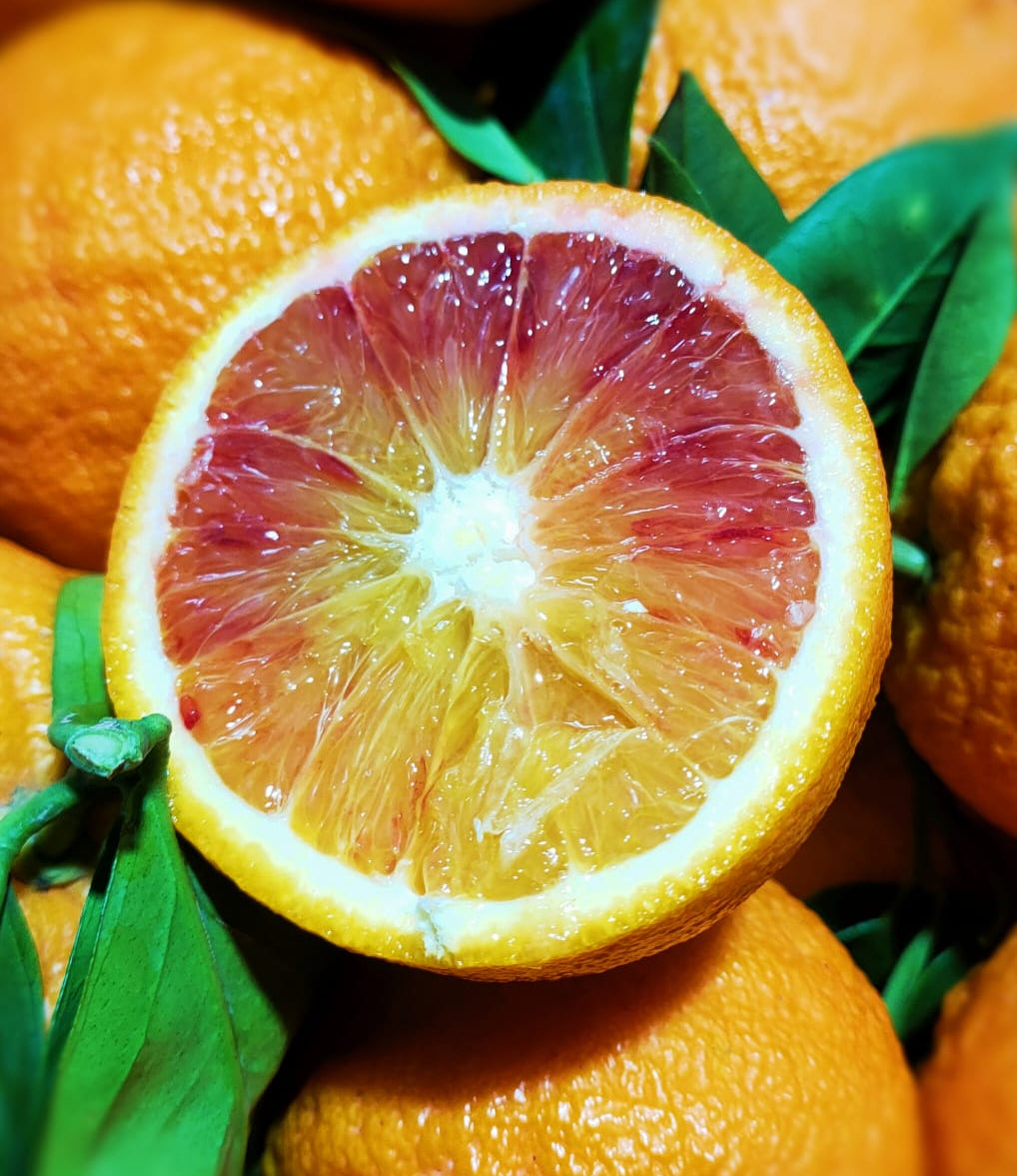arance sanguinello siciliane fresche