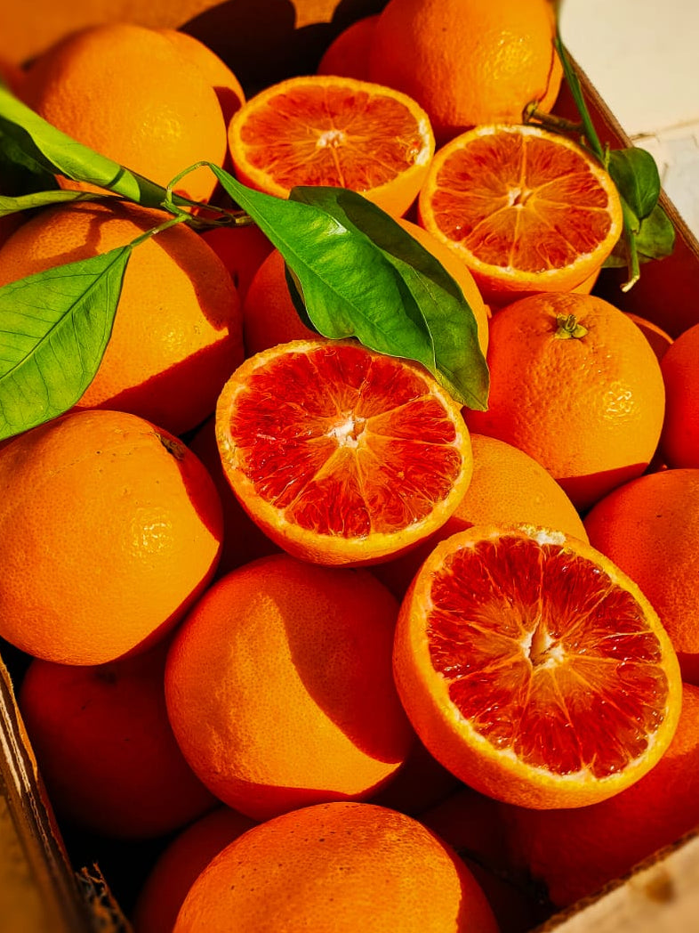 Arance Spremuta Online 18kg Tarocco