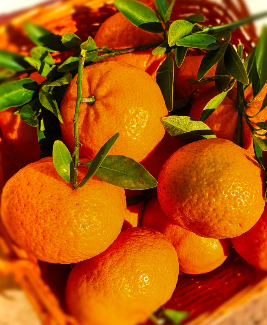 Mandarini Siciliani Online 9kg: Autentici Dolci dall'Etna | AranciaZip