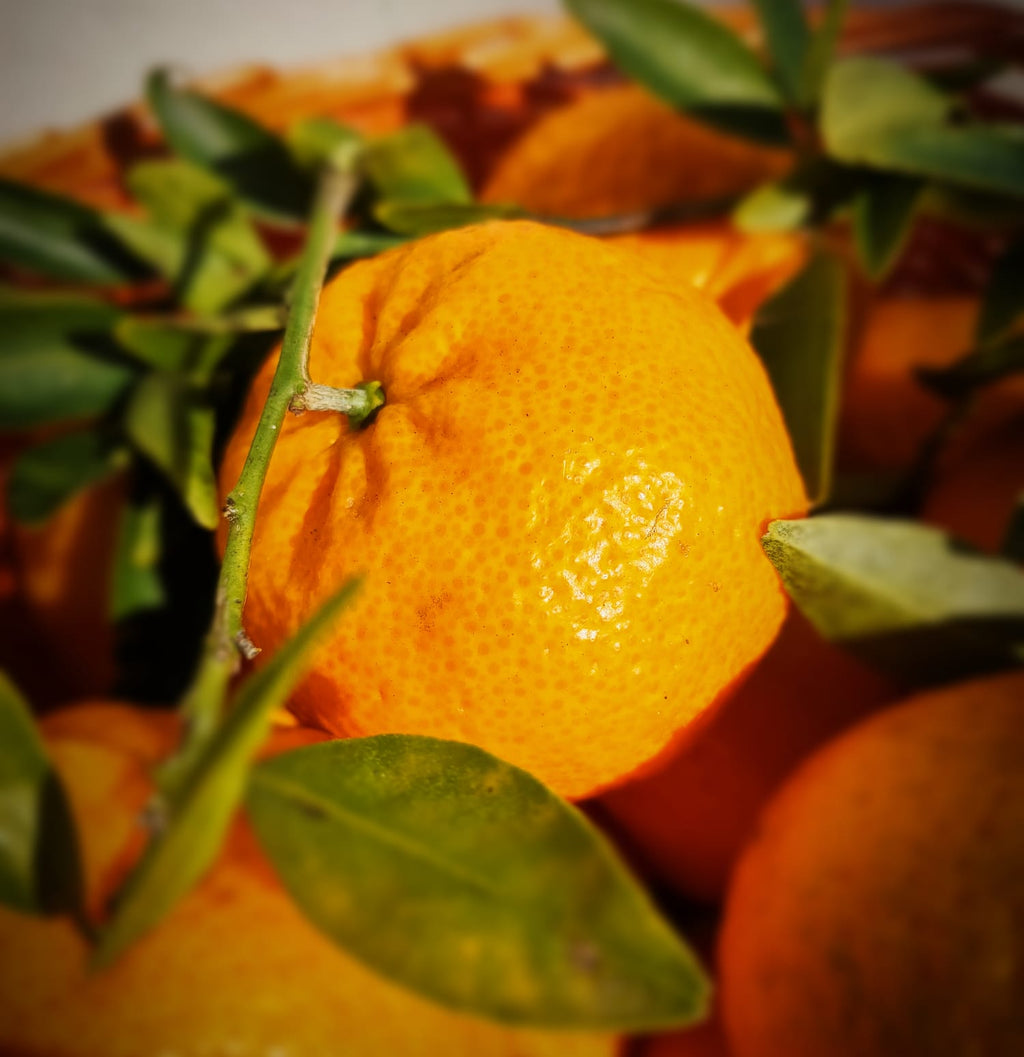 Mandarini Siciliani Online 9kg: Autentici Dolci dall'Etna | AranciaZip