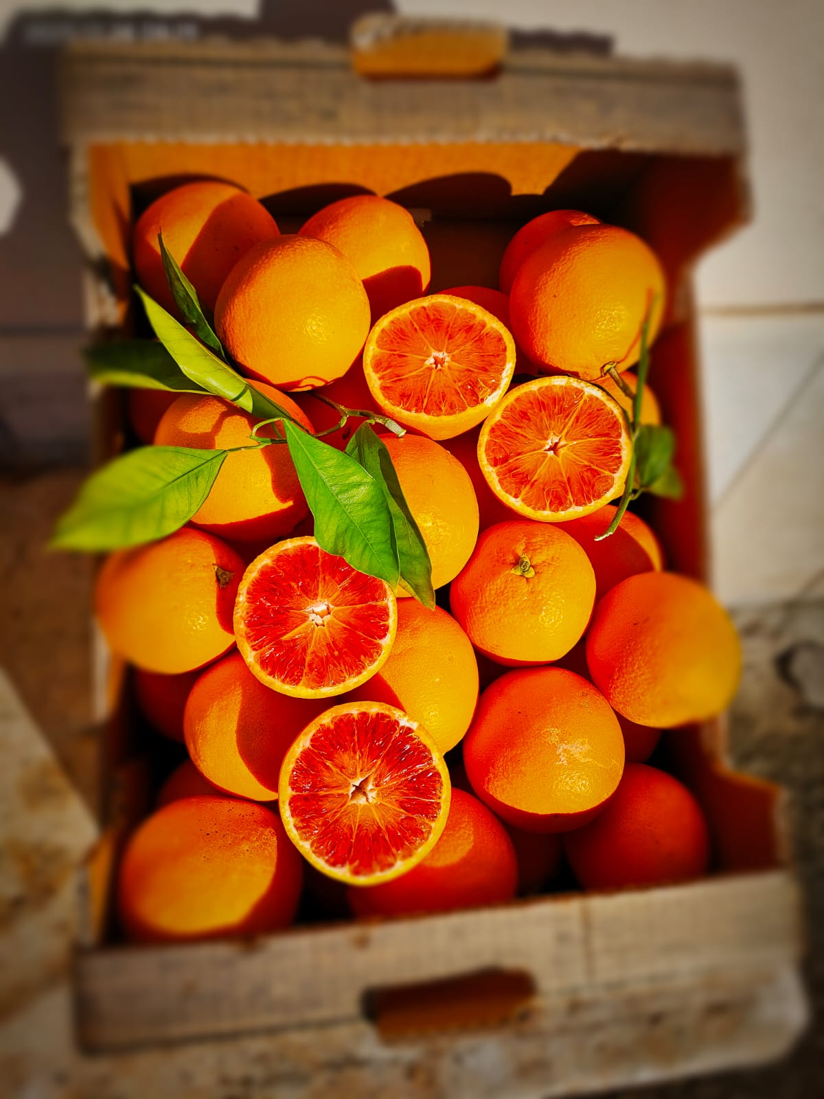 Arance da Spremuta Online 9kg Tarocco 